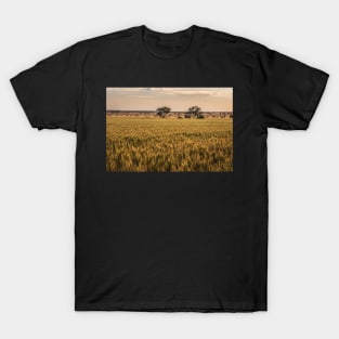 Towards the Harvest T-Shirt